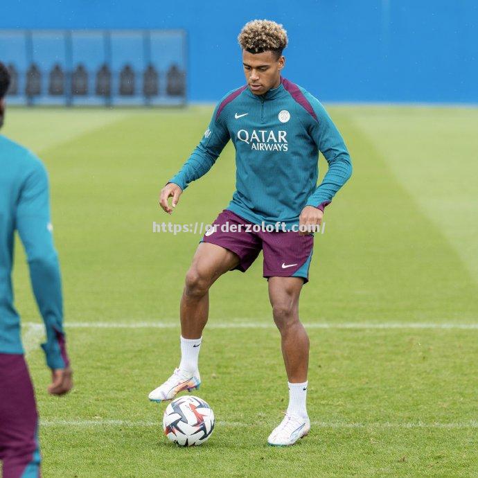 巴黎圣日耳曼在主场大胜里尔 巴黎圣日耳曼在主场大胜里尔