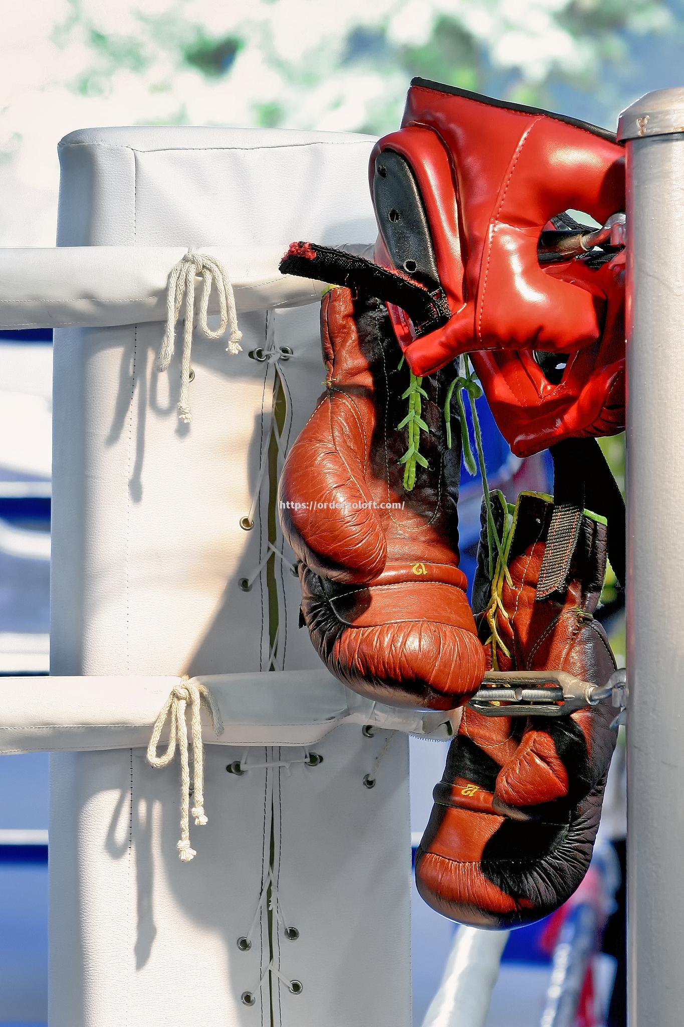 星空体育-球员们在比赛中展现出色表现，赛场上场面火爆