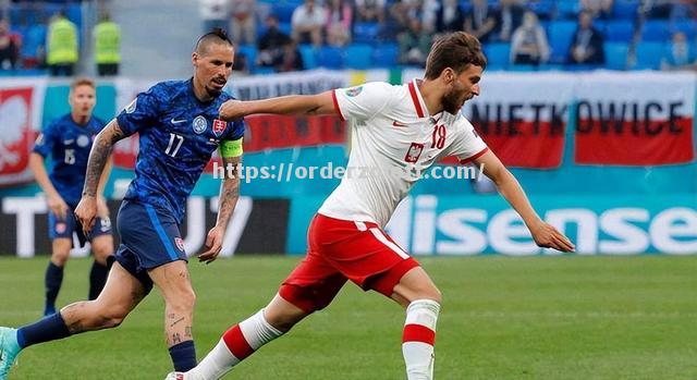 星空体育-波黑队在欧预赛中状态火热，晋级前景一片光明